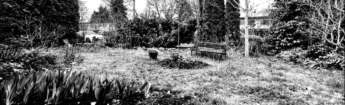 SPRING! LET THE MUD DO IT'S WORK