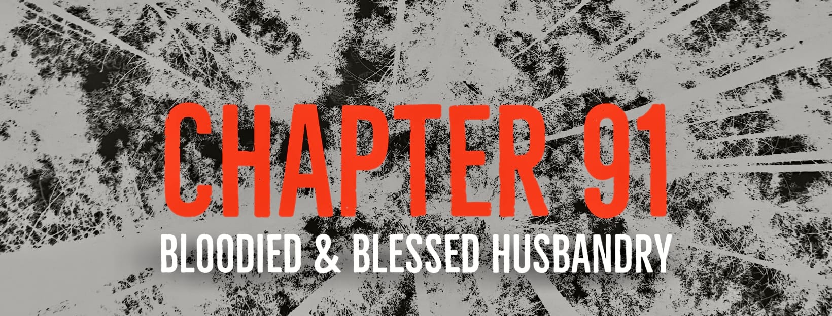 CHAPTER 91: HUSBANDRY REQUIRES BLOODYING