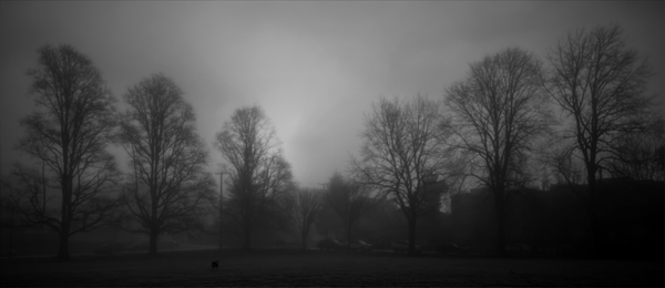 A WINTER OF MOURNING