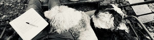 WRITINGS & RITES & PASSAGES